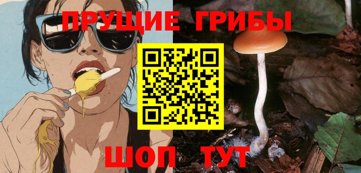 Галлюциногенные грибы мицелий Минусинск